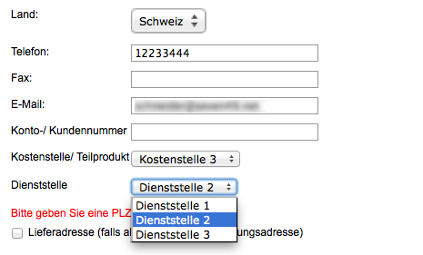Hier wurden die Benutzer-definierten Eingabe Felder mit Dropdown Listen ergänzt