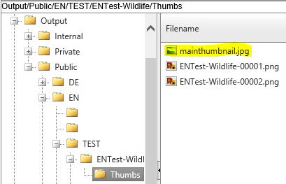 Festlegung eines bestimmten Vorschaubildes